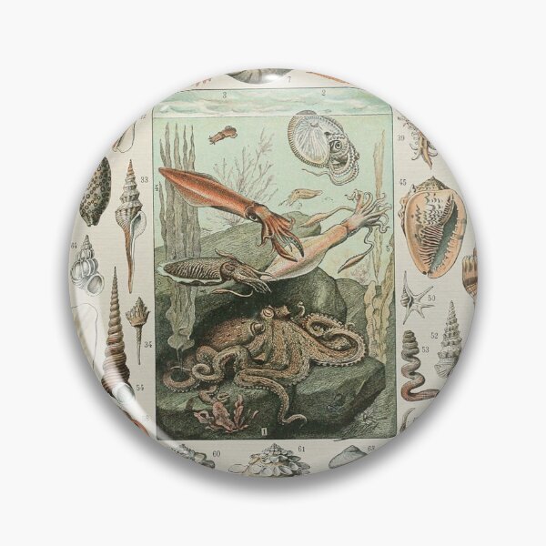 Item preview, Mollusks Varieties of Ocean life chart poster art - Adolphe Millot  designed and sold by Vintage Designs +.