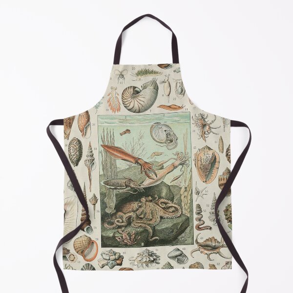 Item preview, Mollusks Varieties of Ocean life chart poster art - Adolphe Millot designed and sold by Vintage Designs +.