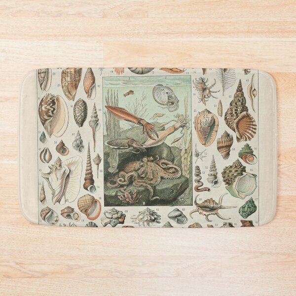 Item preview, Mollusks Varieties of Ocean life chart poster art - Adolphe Millot  designed and sold by Vintage Designs +.