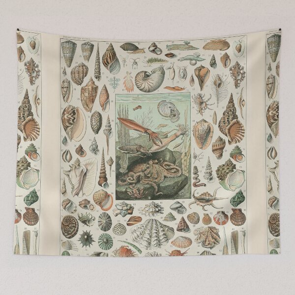 Item preview, Mollusks Varieties of Ocean life chart poster art - Adolphe Millot  designed and sold by Vintage Designs +.