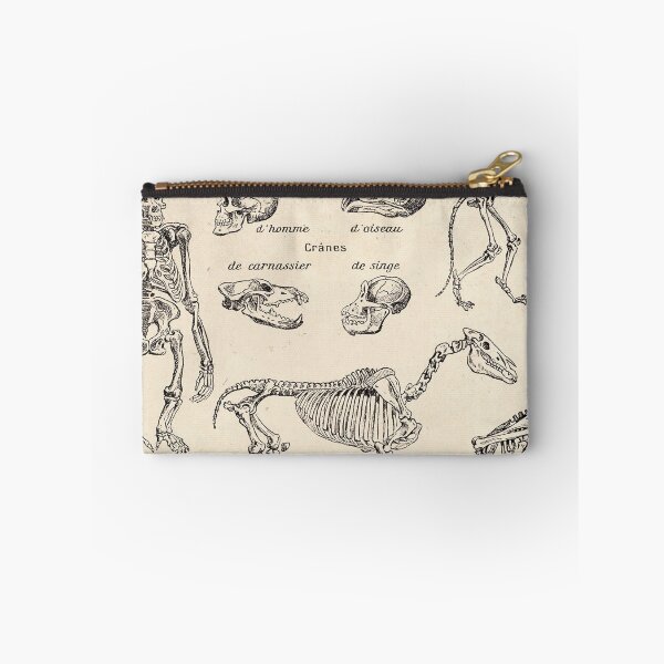 Item preview, Assorted animal kingdom skeletons designed and sold by Vintage Designs +.