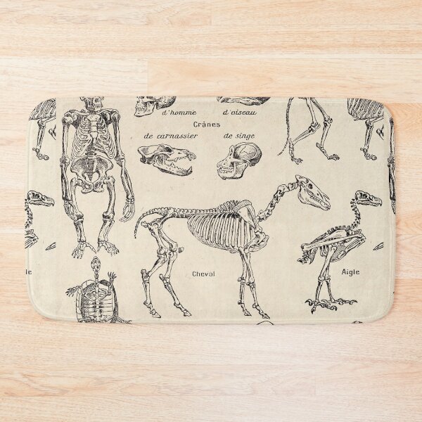 Item preview, Assorted animal kingdom skeletons designed and sold by Vintage Designs +.