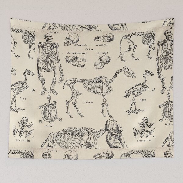 Item preview, Assorted animal kingdom skeletons designed and sold by Vintage Designs +.