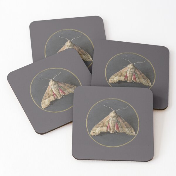Item preview, Moth designed and sold by redstitchlab.