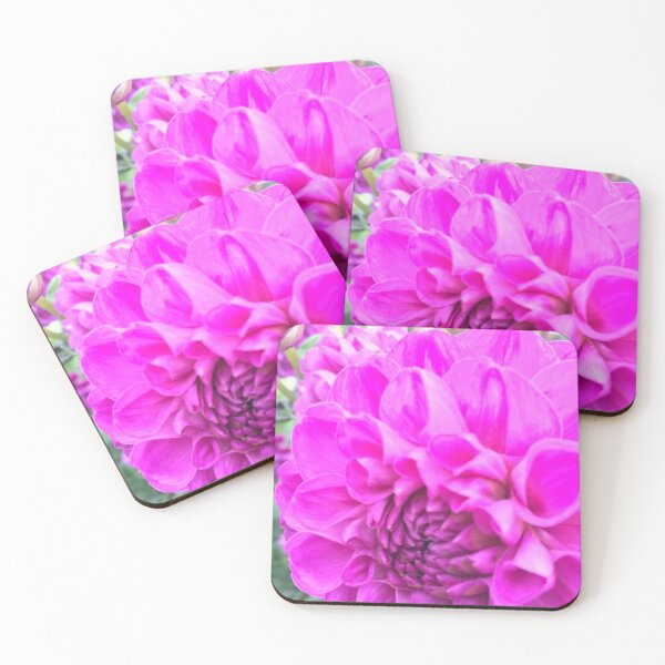 Item preview, Gerbera Rosa designed and sold by dogonly.