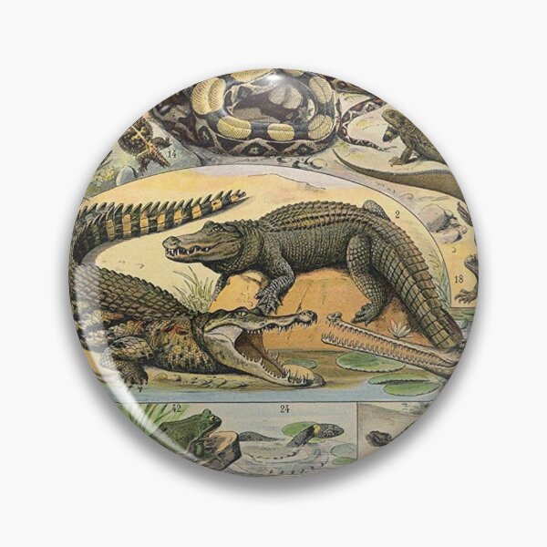 Item preview, Species of reptile and amphibian chart poster art - Adolphe Millot  designed and sold by Vintage Designs +.