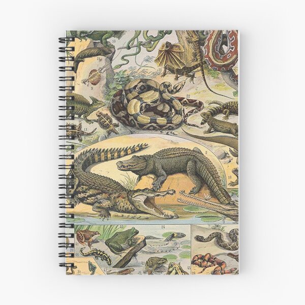 Item preview, Species of reptile and amphibian chart poster art - Adolphe Millot  designed and sold by Vintage Designs +.