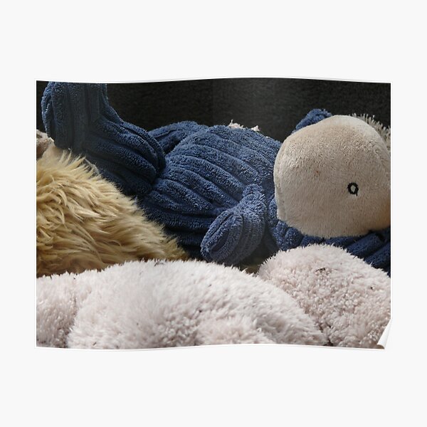 teddies Poster