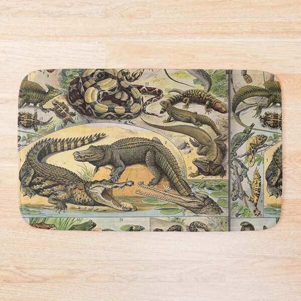 Item preview, Species of reptile and amphibian chart poster art - Adolphe Millot  designed and sold by Vintage Designs +.
