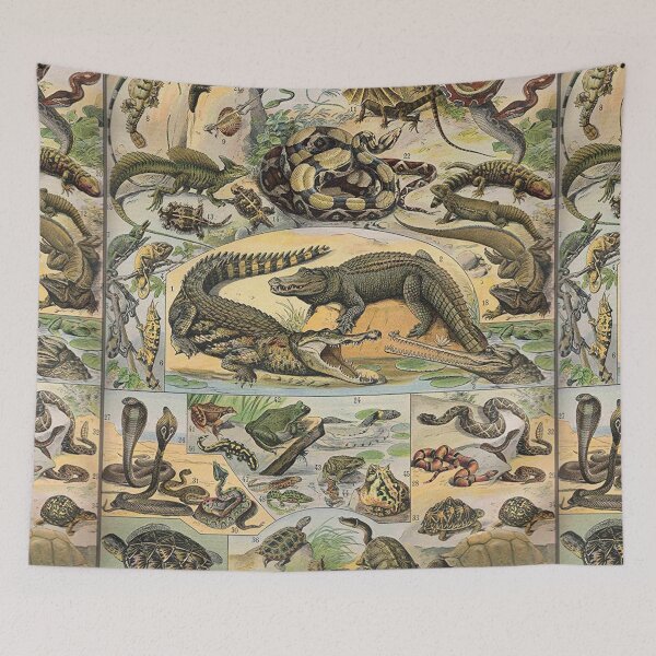 Item preview, Species of reptile and amphibian chart poster art - Adolphe Millot  designed and sold by Vintage Designs +.