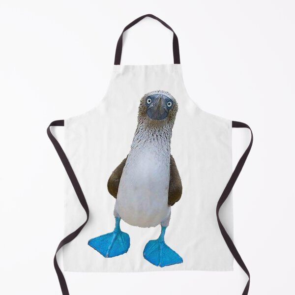 Item preview, Blue foot penguin photo designed and sold by Nostrathomas66.