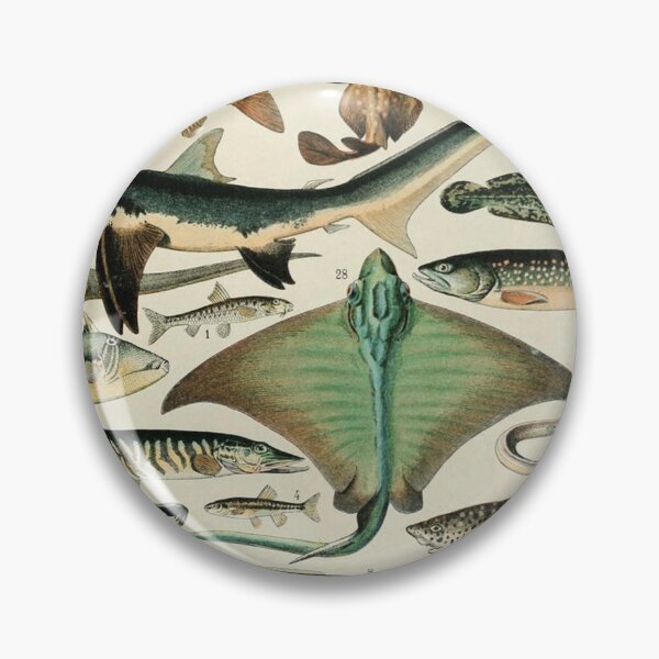 Item preview, Varieties of Fish chart poster art - Adolphe Millot  designed and sold by Vintage Designs +.
