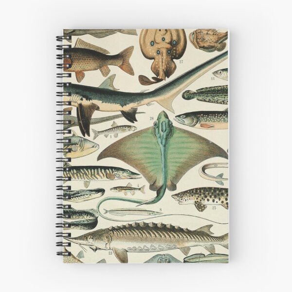 Item preview, Varieties of Fish chart poster art - Adolphe Millot  designed and sold by Vintage Designs +.