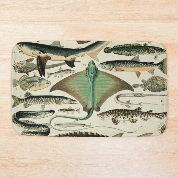Item preview, Varieties of Fish chart poster art - Adolphe Millot  designed and sold by Vintage Designs +.