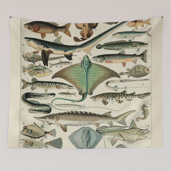 Item preview, Varieties of Fish chart poster art - Adolphe Millot  designed and sold by Vintage Designs +.