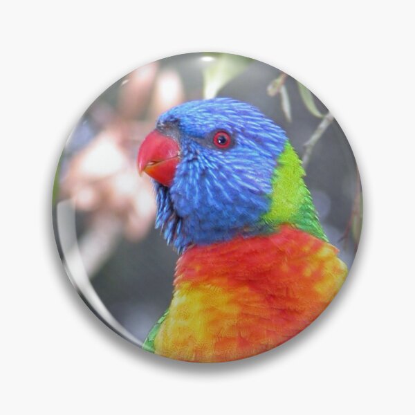 Item preview, Perched Parrot designed and sold by Mrspink16.