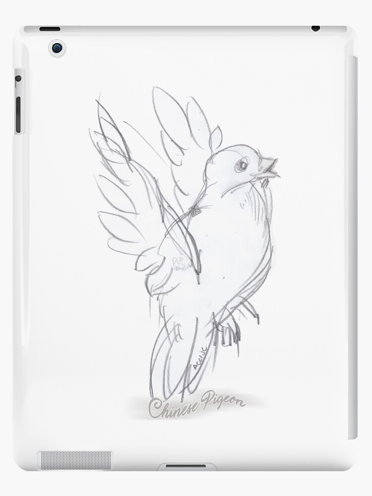 Doves sitting on Branches Pencil Drawing Stock Illustration by ©Valiva  #291161426