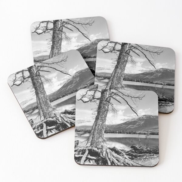 Item preview, Broken tree b&w designed and sold by Feltonmackem.