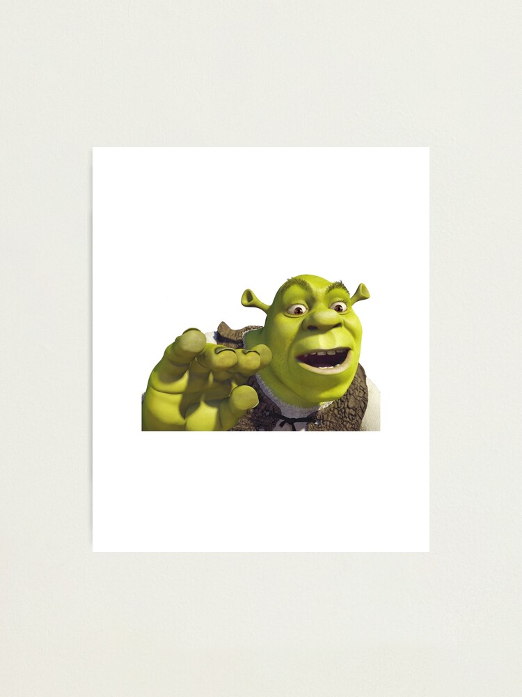 Shrek Funny 'WTF' Face Meme Photographic Print for Sale by AngelRoot