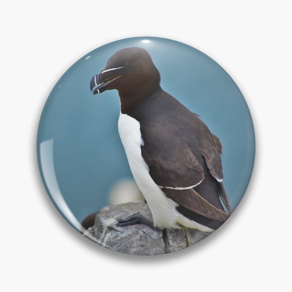 Item preview, Razorbill designed and sold by Feltonmackem.