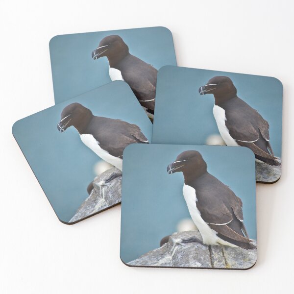 Item preview, Razorbill designed and sold by Feltonmackem.