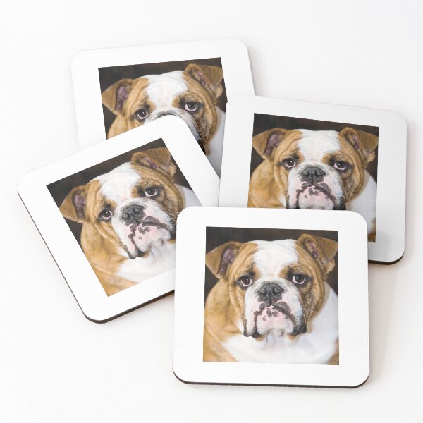Item preview, English Bulldog dog dogs pets  Bulldogs full face designed and sold by Coolstuff4you71.