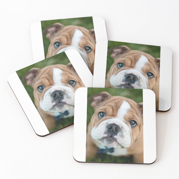 Item preview, English Bulldog dog dogs pets  Bulldogs full face puppy designed and sold by Coolstuff4you71.