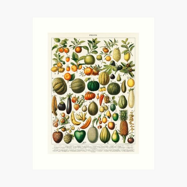 Item preview, Varieties of vegetables  chart poster art - Adolphe Millot  designed and sold by Vintage Designs +.