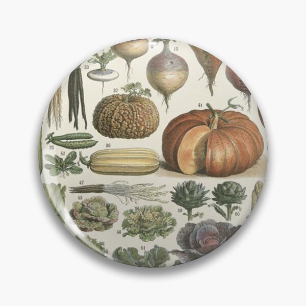 Item preview,   Varieties of vegetables legumes  chart poster art - Adolphe Millot  designed and sold by Vintage Designs +.