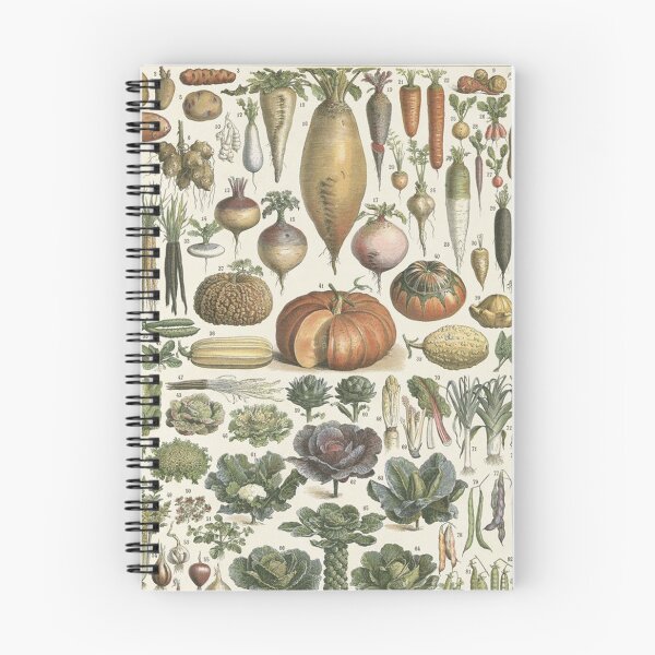 Item preview,   Varieties of vegetables legumes  chart poster art - Adolphe Millot  designed and sold by Vintage Designs +.