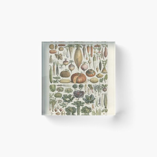 Item preview,   Varieties of vegetables legumes  chart poster art - Adolphe Millot  designed and sold by Vintage Designs +.