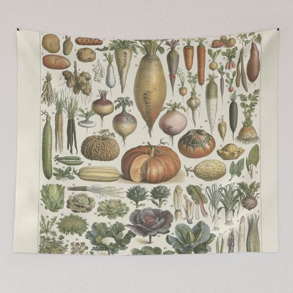 Item preview,   Varieties of vegetables legumes  chart poster art - Adolphe Millot  designed and sold by Vintage Designs +.