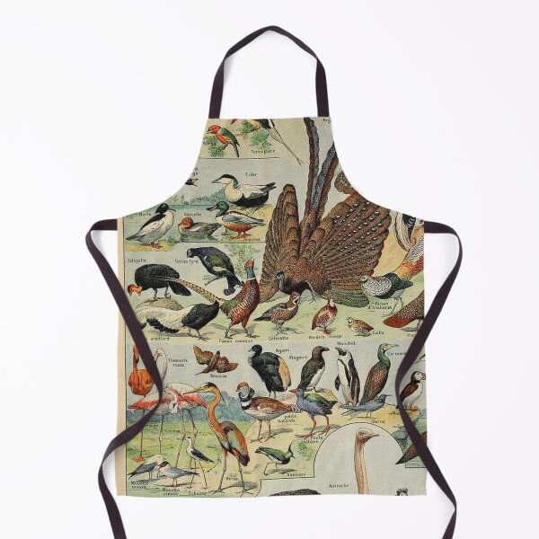 Item preview, Species of birds chart poster art - Adolphe Millot  designed and sold by Vintage Designs +.