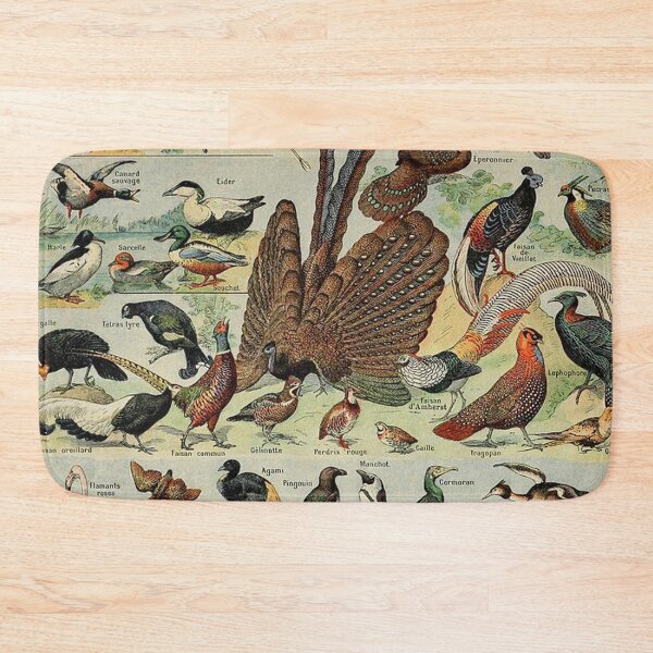 Item preview, Species of birds chart poster art - Adolphe Millot  designed and sold by Vintage Designs +.