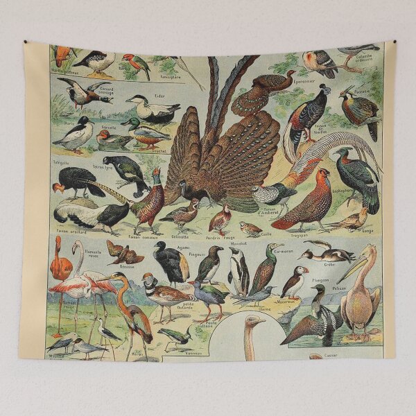 Item preview, Species of birds chart poster art - Adolphe Millot  designed and sold by Vintage Designs +.