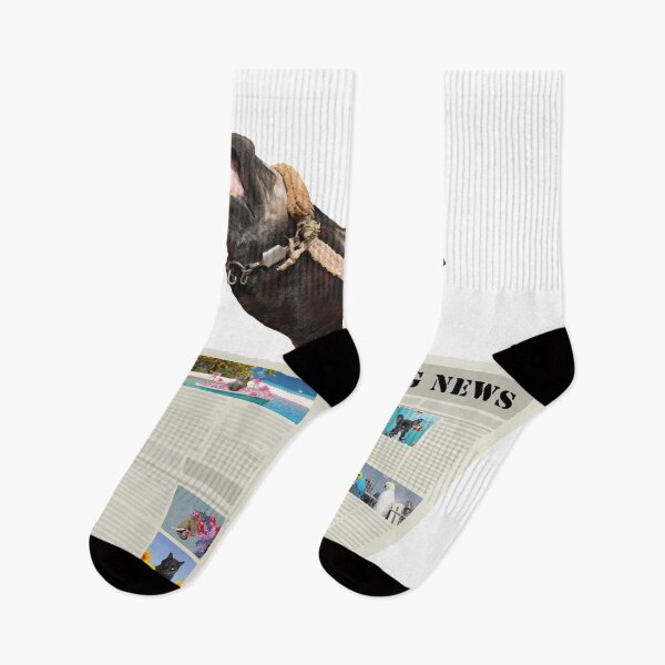 Item preview, Newspaper Breaking News Donkey - Author Journalist designed and sold by Move-Art.