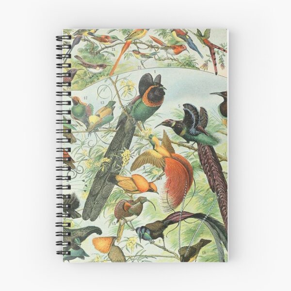 Item preview, Species of birds chart poster art - Adolphe Millot  designed and sold by Vintage Designs +.