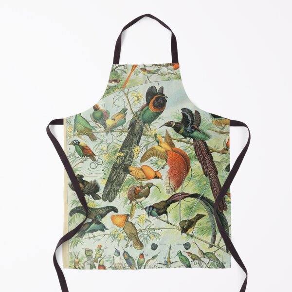 Item preview, Species of birds chart poster art - Adolphe Millot  designed and sold by Vintage Designs +.