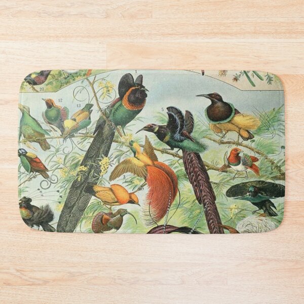 Item preview, Species of birds chart poster art - Adolphe Millot  designed and sold by Vintage Designs +.
