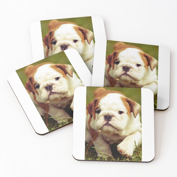 Item preview, English Bulldog dog dogs pets  Bulldogs puppy designed and sold by Coolstuff4you71.