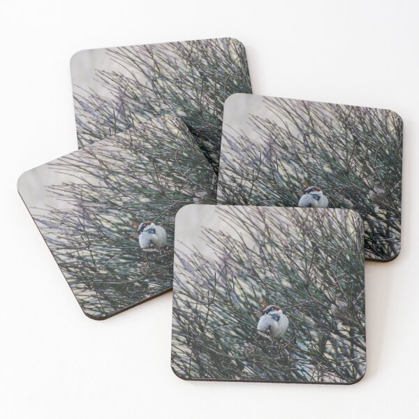 Item preview, Puffing up for Winter designed and sold by SRosuphotos.