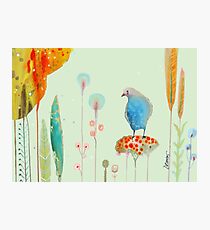 intermede Photographic Print