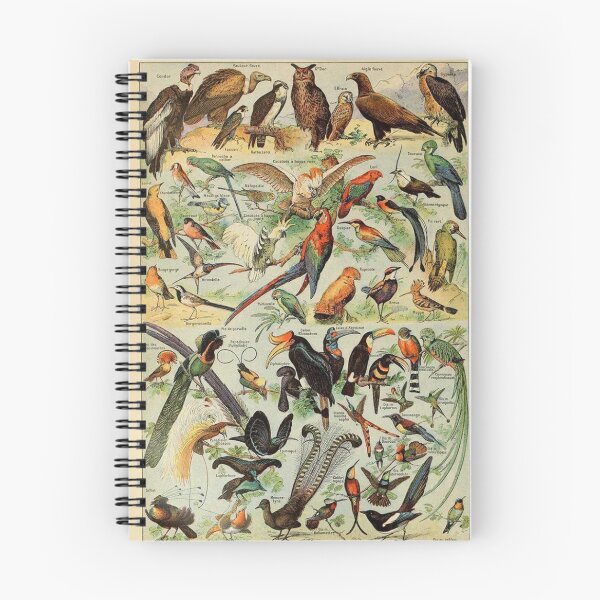 Item preview,  Species of birds chart poster art - Adolphe Millot  designed and sold by Vintage Designs +.