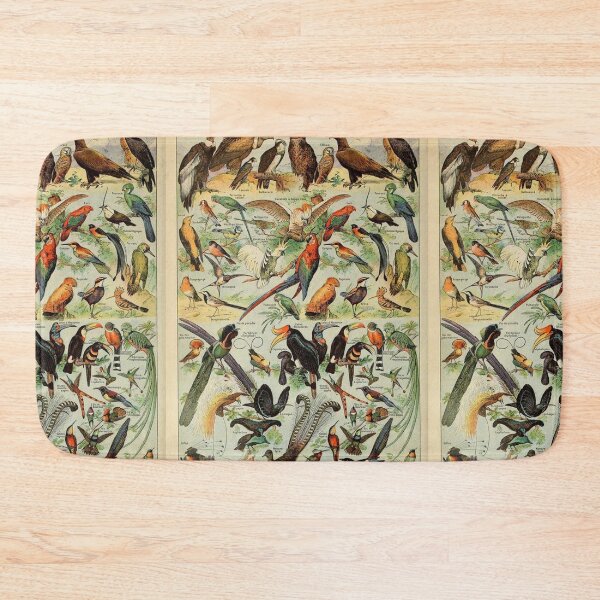 Item preview,  Species of birds chart poster art - Adolphe Millot  designed and sold by Vintage Designs +.