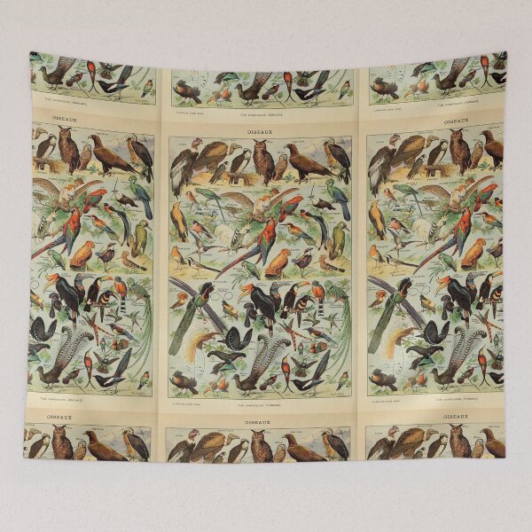 Item preview,  Species of birds chart poster art - Adolphe Millot  designed and sold by Vintage Designs +.