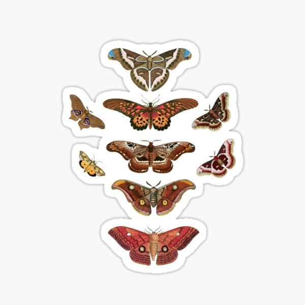 Item preview, moth collection designed and sold by cottagefrog.