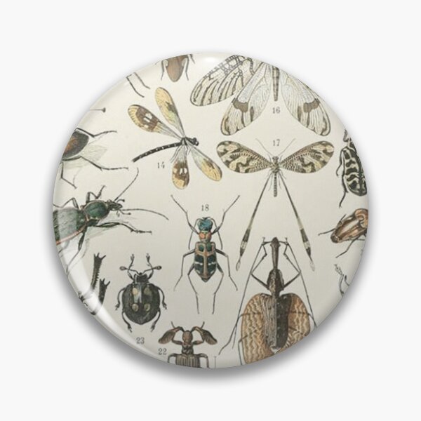 Item preview,  Varieties insect chart poster art - Adolphe Millot  designed and sold by Vintage Designs +.