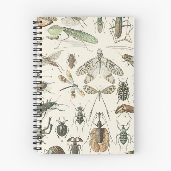 Item preview,  Varieties insect chart poster art - Adolphe Millot  designed and sold by Vintage Designs +.
