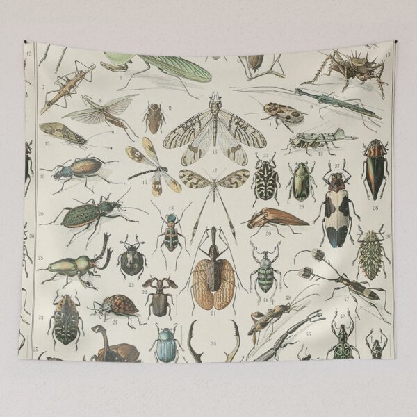 Item preview,  Varieties insect chart poster art - Adolphe Millot  designed and sold by Vintage Designs +.