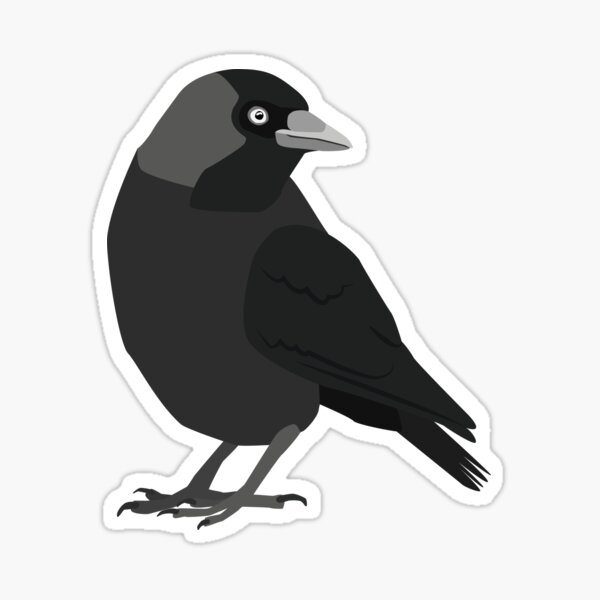 Artikel-Vorschau von Dohle, designt und verkauft von Smile-Birds.
